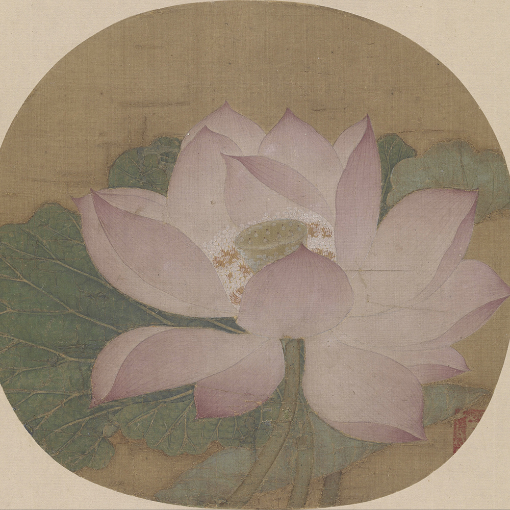 【出水芙蓉图】