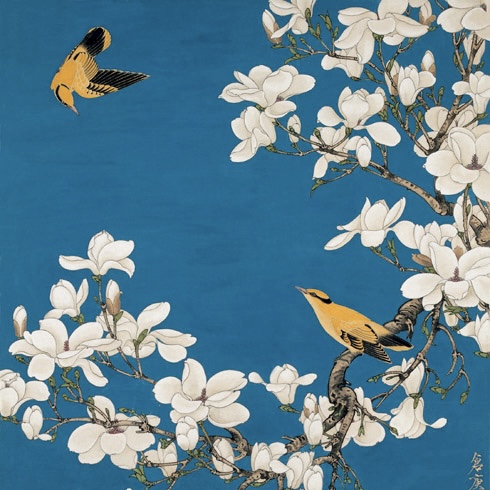 【玉兰黄鹂】