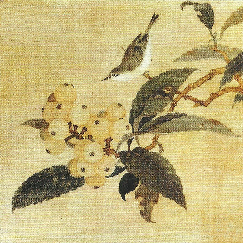 【枇杷山鸟图】