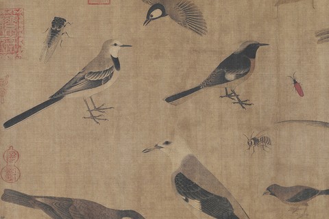 【写生珍禽图】