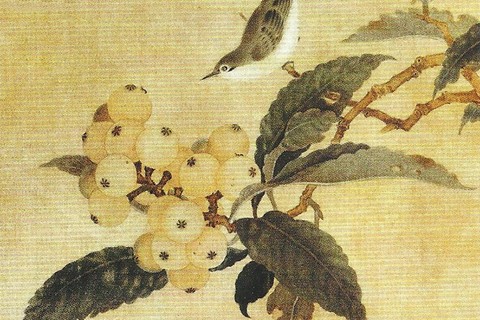 【枇杷山鸟图】