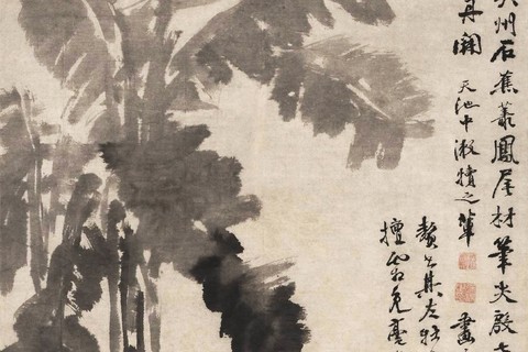 【牡丹蕉石图】